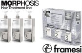 Framesi Morphosis ReStructure Kit 3x1000ml