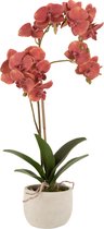 J-Line plant Orchidee In Pot - kunststof/cement - dieprood/beige