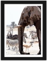 Foto in frame , Afrikaanse Olifant, 3 maten , multikleur, wanddecoratie , Premium print