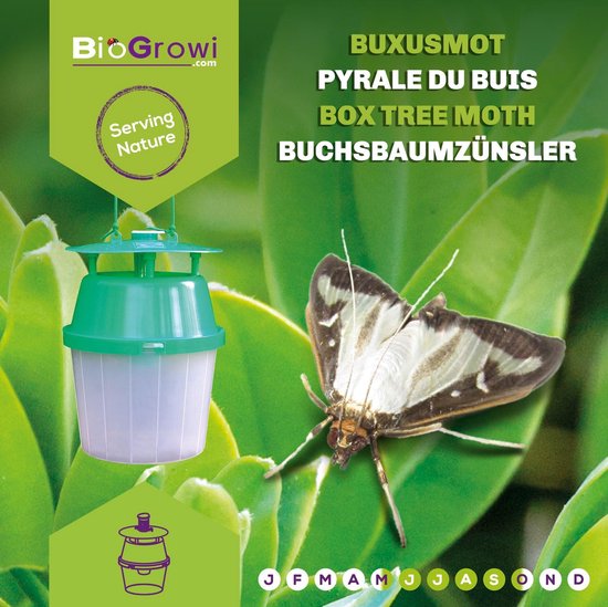 Biogroei feromoonval buxusmot - Buxusmotval Inclusief 4 feromonen - val voor de buxusmot - Biogroei