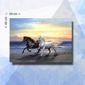 Diamond Painting Pakket Paarden Aan Zee - ronde steentjes - 50 x 40 cm