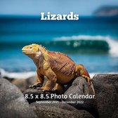 Lizards 8.5 X 8.5 Photo Calendar September 2021 -December 2022: Monthly Calendar with U.S./UK/ Canadian/Christian/Jewish/Muslim Holidays- Nature Amphi