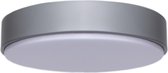 LED Plafondlamp - Igan Santi - Opbouw Rond 20W - Natuurlijk Wit 4000K - Mat Grijs - Aluminium