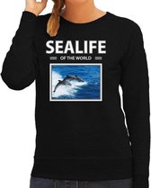 Dieren foto sweater Dolfijn - zwart - dames - sealife of the world - cadeau trui Dolfijnen liefhebber XS
