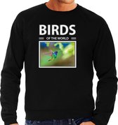 Dieren foto sweater Kolibrie vogel - zwart - heren - birds of the world - cadeau trui vogel liefhebber S