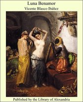 livre numérique
