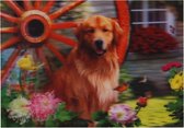 S.Y.W Poster - Golden Retriever - Gold