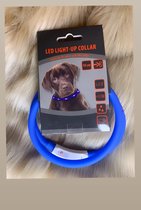 Honden LED Halsband - Honden - Dieren - Halsband