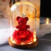 Eeuwige Roos in Glas met LED verlichting - Red Queen Teddybeer - Valentijn - Moederdag - Huwelijk - Decoratief - Liefdes Cadeau - Moederdag Cadeautje