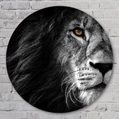 Leeuw - 100 cm Forex Muurcirkel - Dieren - Wanddecoratie - Rond Schilderij - Wandcirkel