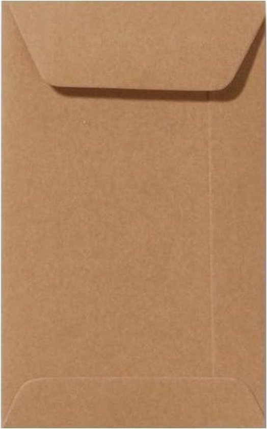 Wat spreiding kijken Kleine bruine Kraft envelopjes - 6,5x10cm - 20 stuks - Gratis Verzonden |  bol.com