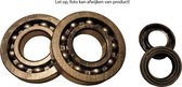 Krukas lager/keerring-set d-tech titaljet/vamos/f50/adress