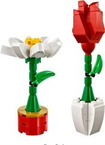 LEGO® Flower Splendor - 40187