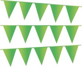 e-Carnavalskleding.nl Vlaggenlijn licht groen | licht groene slinger 10 meter