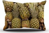 Tuinkussen Ananas