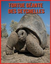 Tortue Geante des Seychelles