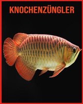 Knochenzungler