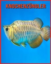 Knochenzungler