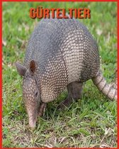 Gurteltier