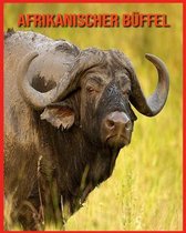 Afrikanischer Buffel