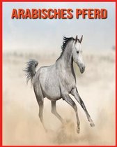 Arabisches Pferd