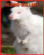 Albino-Wallaby