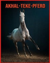 Akhal-Teke-Pferd