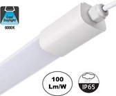 LED Batten ECO 60cm, 18w, 1800 Lm (100lm/w), 6000K Daglicht Wit, IP65