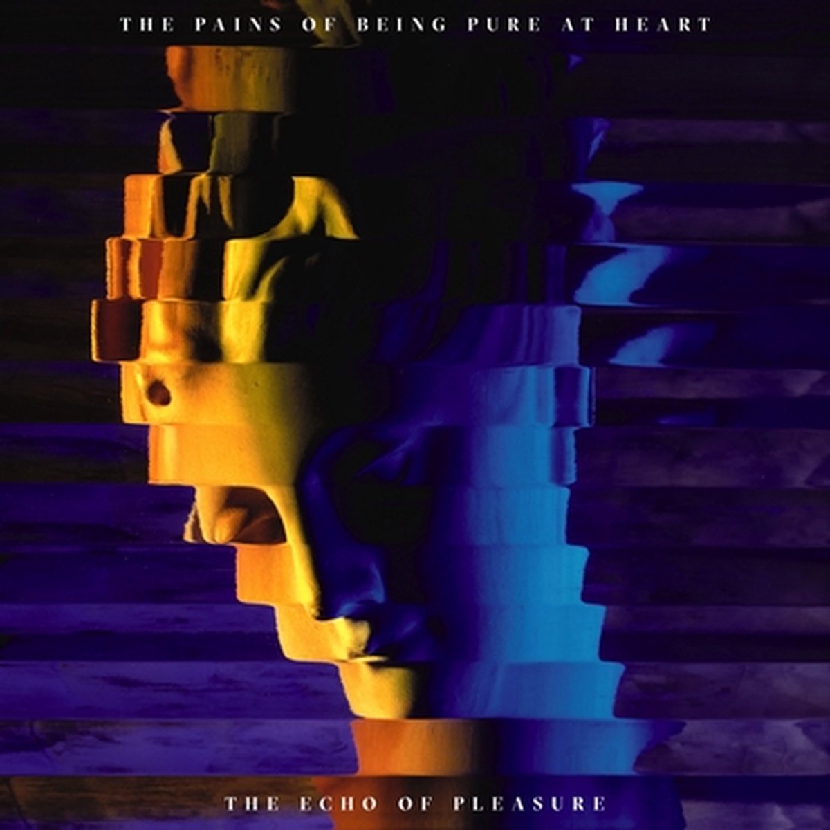 The Echo Of Pleasure