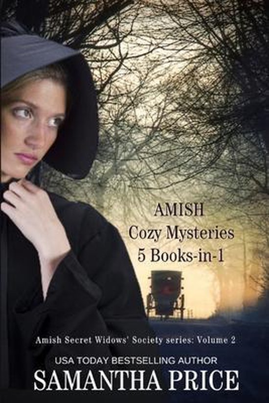 Amish Widow Mysteries Boxed Set- Amish Cozy Mysteries