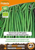 Protecta Groente zaden: Struikboon zonder draad Cupidon Biologisch