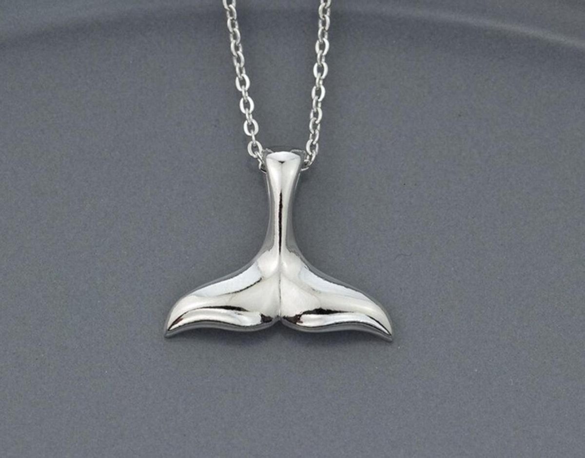 Zilveren walvisstaart hanger, met collier