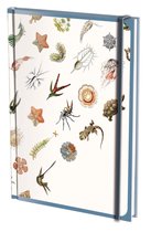 Notitieboek A5, harde kaft: Art Forms in Nature, Ernst Haeckel, Teylers Museum