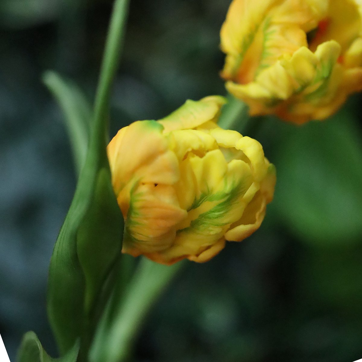 maxifleur Kunstplanten Kunst Tulpenbos RT 40cm Geel
