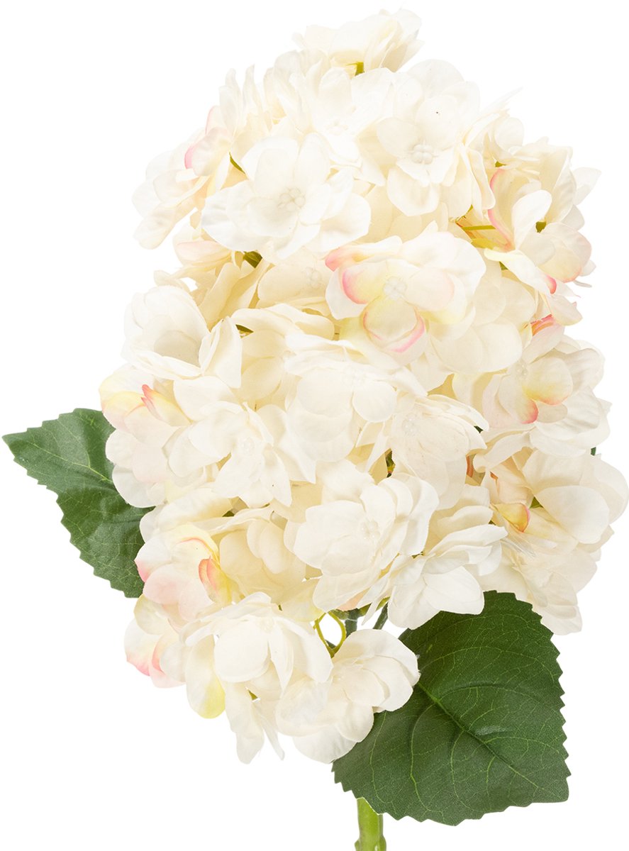 Viana Kunstmatige hortensia, hoge kwaliteit, voor decoratieve doeleinden in beige