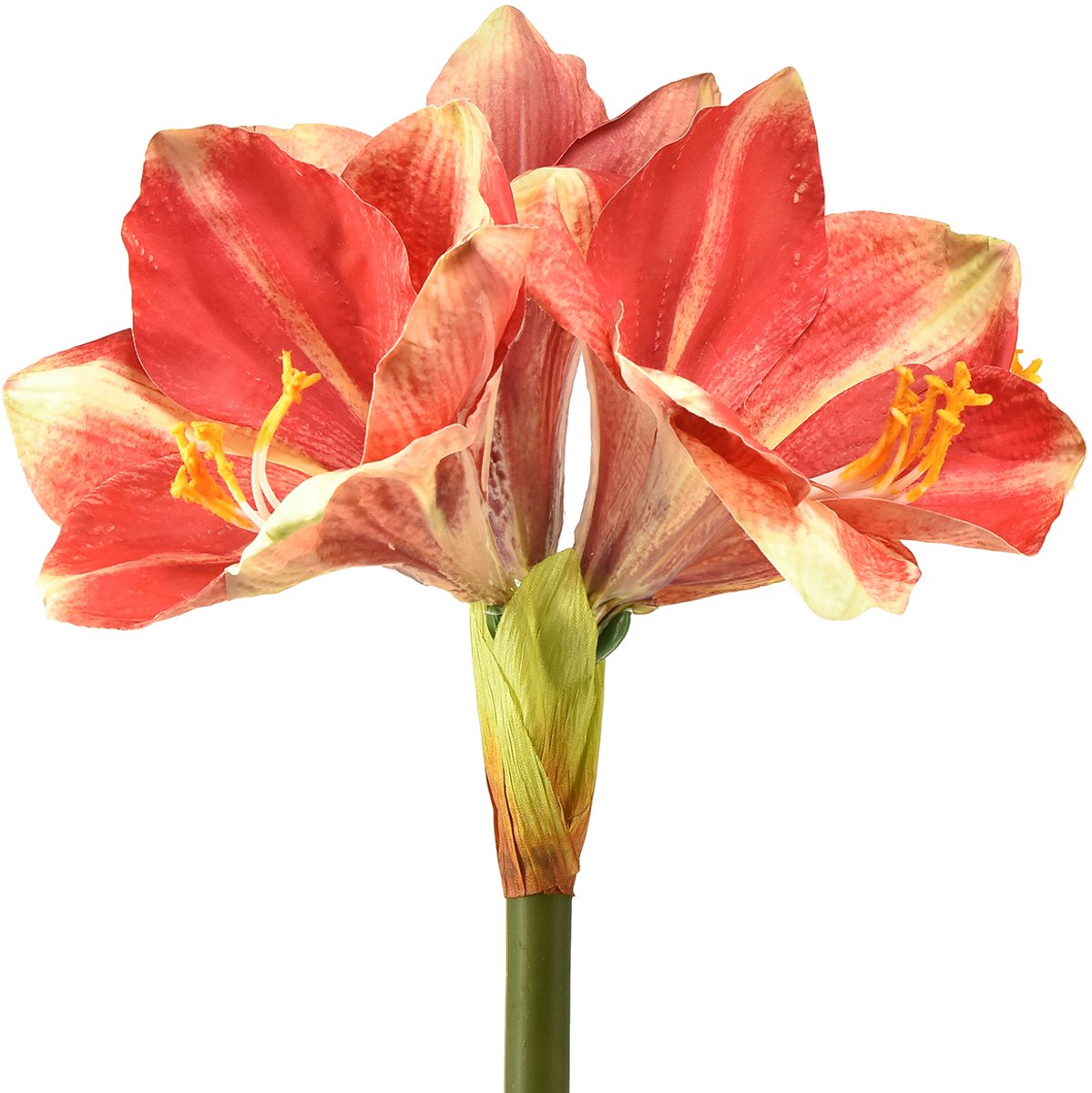 Viana Kunstamaryllis roze en crème – bloem met grote stengel 76 cm