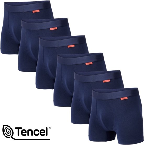 Undiemeister Boxershort Heren - Storm Cloud (Blauw) - 6-Pack - Tencel - Zijdezacht - Ademend - Anti-Bacterieel & Naadloos Ondergoed - Premium Onderbroeken Heren - Maat L