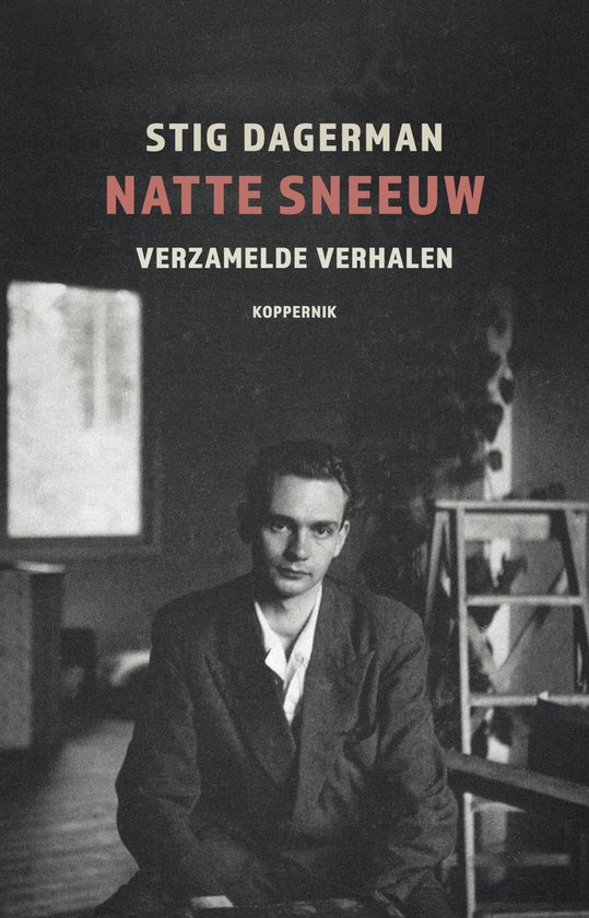 Natte sneeuw - cover