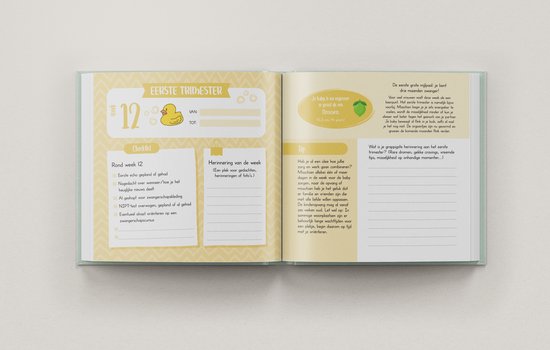 Een zwangerschapsdagboek met een checklist en tips voor de eerste trimester.