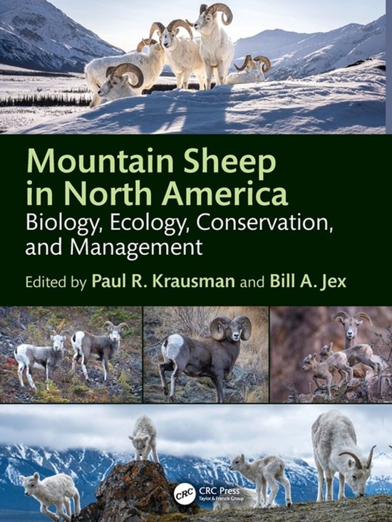 Mountain Sheep in North America - cover