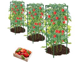 3-Pack Tomatenkooien – Vierkante Plantensteunen voor Klimgroenten en Bloemen – Extra Stabiel en Duurzaam