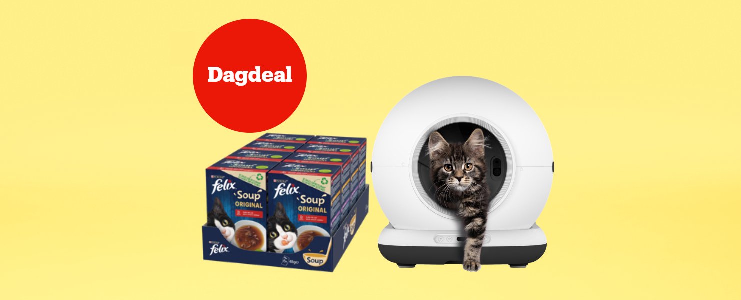 Alleen vandaag: Korting*