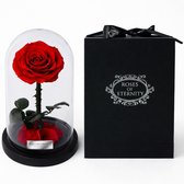 Eeuwige roos in glas met licht, oneindige bloemen