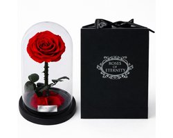 Roses of Eternity - Echte Roos in Glazenstolp - 3 Jaar Houdbaar - Cadeau voor vrouw, vriendin, haar - Valentijn - Valentijnsdag - Huwelijk - Romantisch Liefdes Moederdag cadeautje - rood