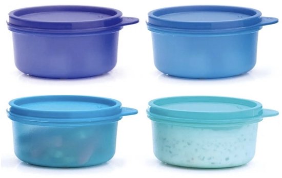 Tupperware 4 Bacs Dessert 200 ml Bleu Vert | Petits bacs de conservation