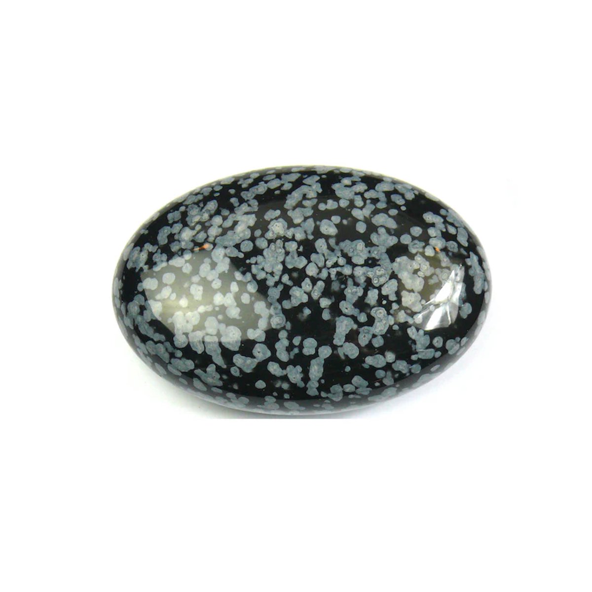 Ovale steen Sneeuwvlok Obsidiaan (Palmsteen)