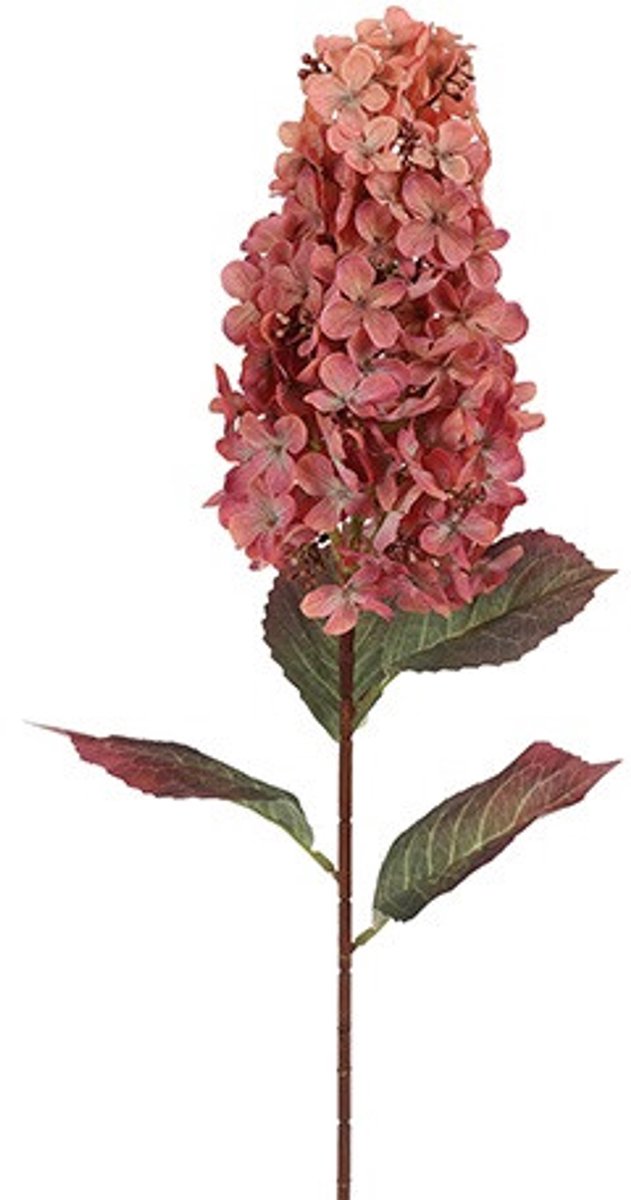 Countryfield Hydrangea Aletta Paniculata Roze - Zijdebloem