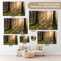 Zonlicht dat door de bomen valt op een bosrijk pad. Verkrijgbaar in verschillende formaten: 140x90, 180x120, 100x150, 30x20, 90x60, 120x80.