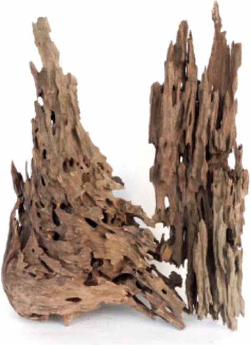 Wabi Kusa Maple Leaf Rock