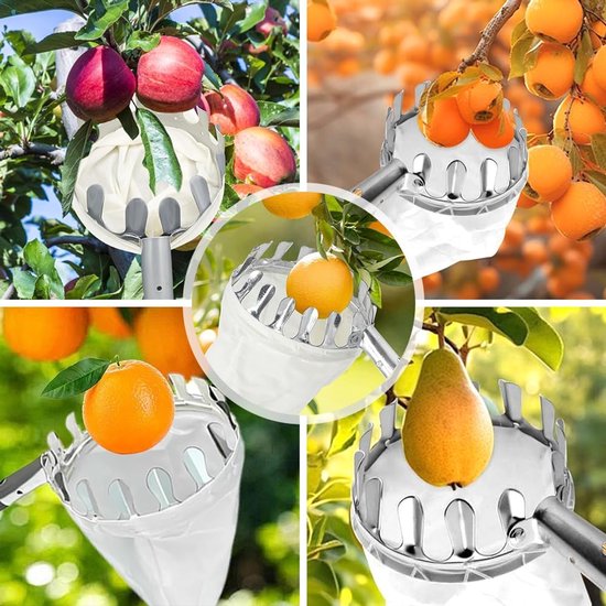 Allecto - Fruitplukker - Appelplukker - Eenvoudig te monteren - 4 m steel - Kersenplukker - Geschikt voor verschillende fruitsoorten - Inclusief ka... van Allecto — afbeelding 3